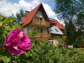  A&J Kryspinów  Крыспинув